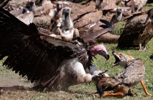 daily picdump 110 pics 41.html - 110 HD Photos | Premium Gallery 2012