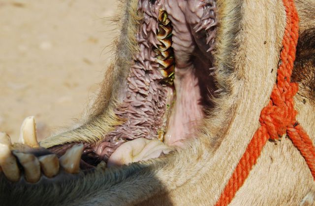 daily picdump 110 pics 41.html - 110 HD Photos | Premium Gallery 2012