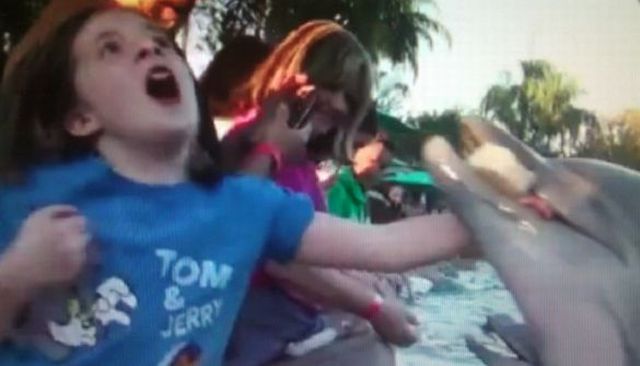 daily picdump 110 pics 41.html - 110 HD Photos | Premium Gallery 2012