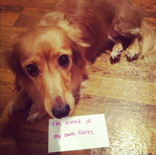 daily picdump 110 pics 41.html - 110 HD Photos | Premium Gallery 2012