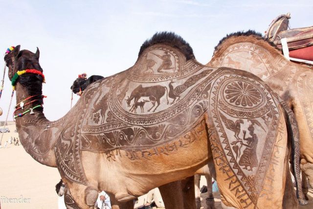 morning picdump 54 pics 21.html - 54 HD Photos | Premium Gallery 2012