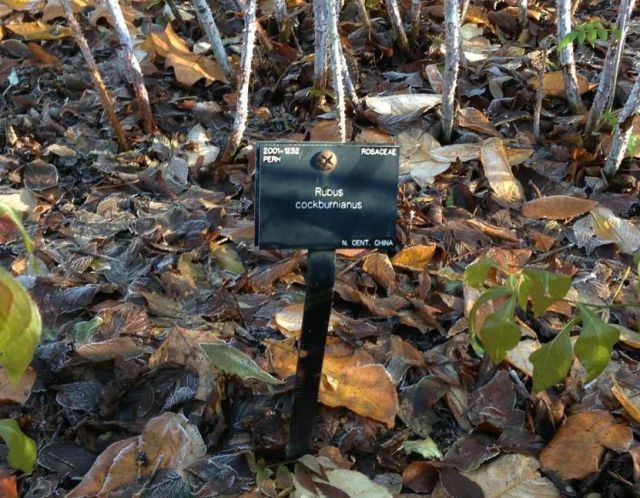 morning picdump 54 pics 21.html - 54 HD Photos | Premium Gallery 2012