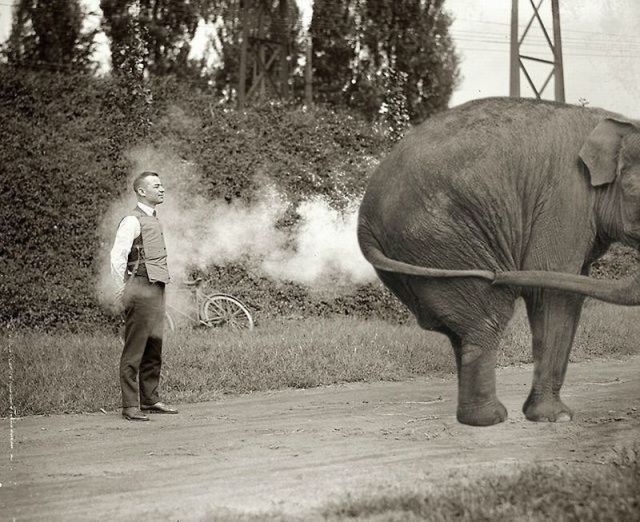 morning picdump 54 pics 21.html - 54 HD Photos | Premium Gallery 2012