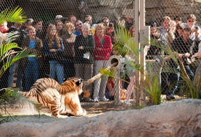 morning picdump 54 pics 21.html - 54 HD Photos | Premium Gallery 2012