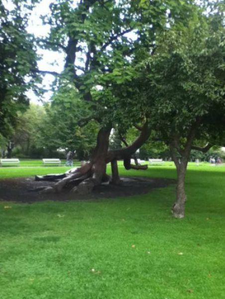 Having a Memorably Naughty Time. Part 6