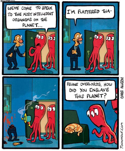 morning picdump 53 pics 18.html - 53 HD Photos | Premium Gallery 2012