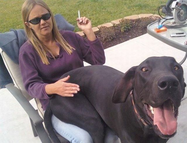 morning picdump 53 pics 18.html - 53 HD Photos | Premium Gallery 2012