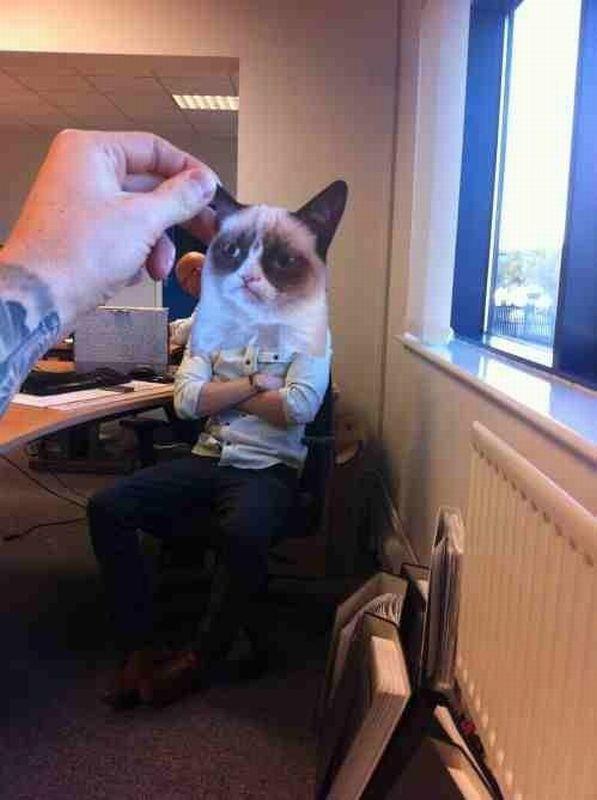 morning picdump 51 pics 4.html - 51 HD Photos | Premium Gallery 2012