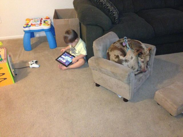 morning picdump 53 pics 4.html - 53 HD Photos | Premium Gallery 2012