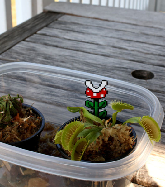 morning picdump 53 pics 4.html - 53 HD Photos | Premium Gallery 2012