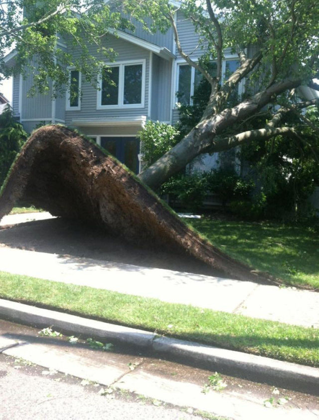 morning picdump 53 pics 4.html - 53 HD Photos | Premium Gallery 2012