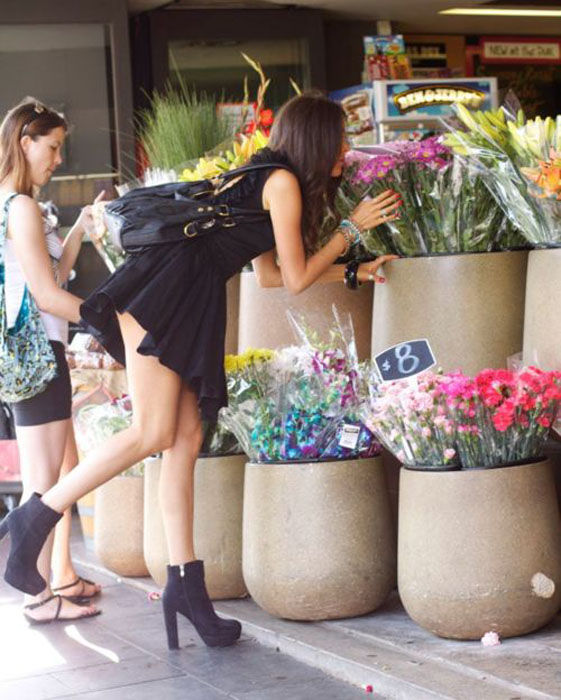 Luscious, Leggy Ladies