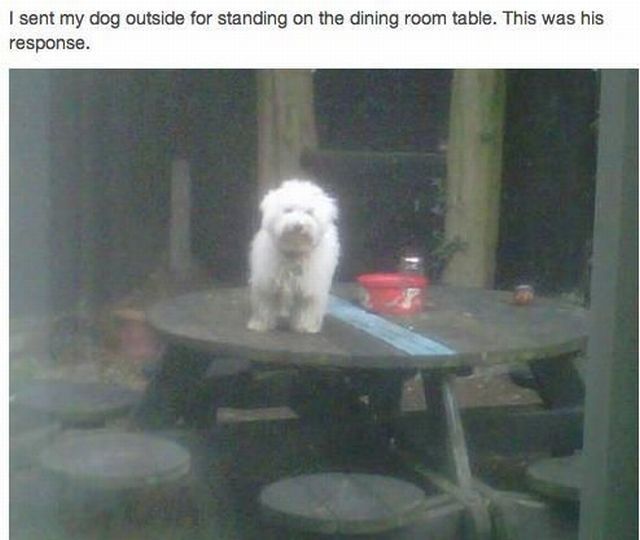 morning picdump 56 pics 3.html - 56 HD Photos | Premium Gallery 2012