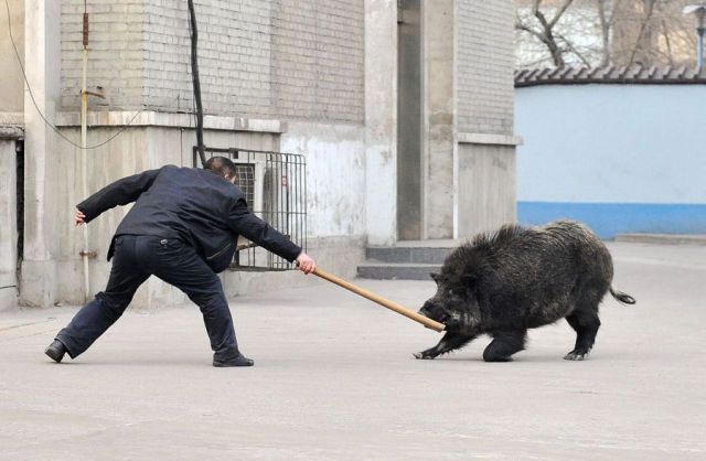 morning picdump 56 pics 3.html - 56 HD Photos | Premium Gallery 2012