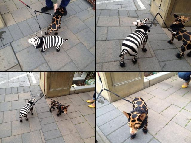 morning picdump 56 pics 3.html - 56 HD Photos | Premium Gallery 2012