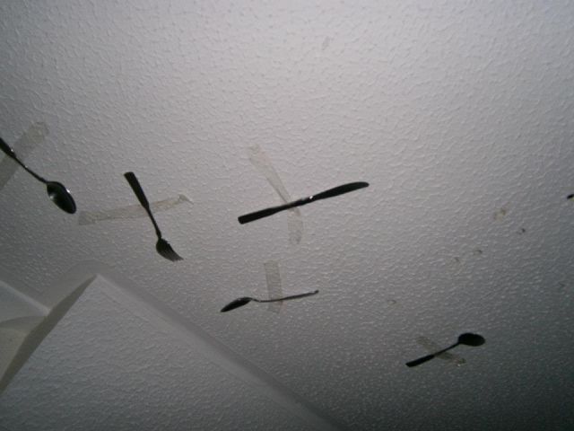 College House Party After-effects