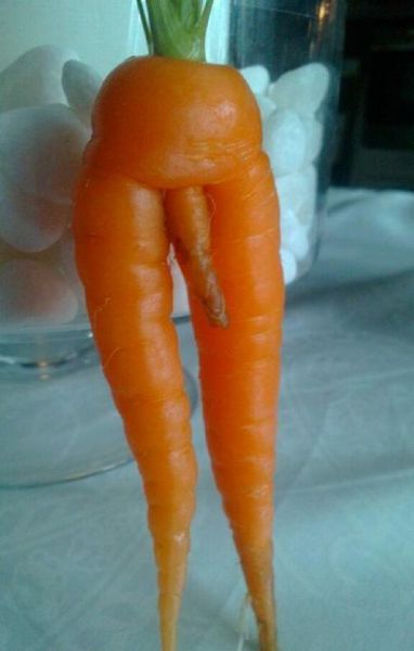 morning picdump 54 pics 2.html - 54 HD Photos | Premium Gallery 2012