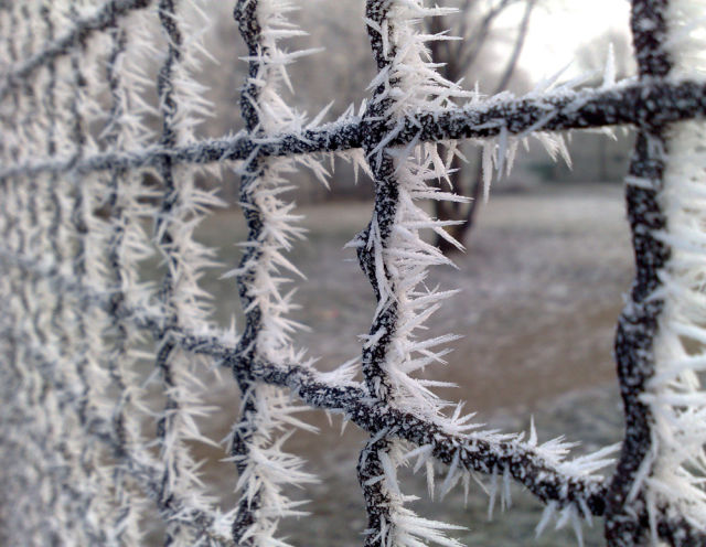 morning picdump 54 pics 2.html - 54 HD Photos | Premium Gallery 2012