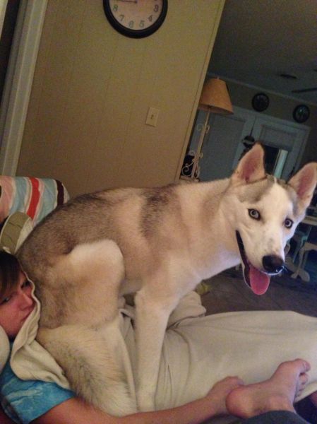 morning picdump 54 pics 2.html - 54 HD Photos | Premium Gallery 2012