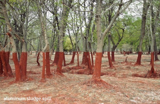 morning picdump 54 pics 2.html - 54 HD Photos | Premium Gallery 2012