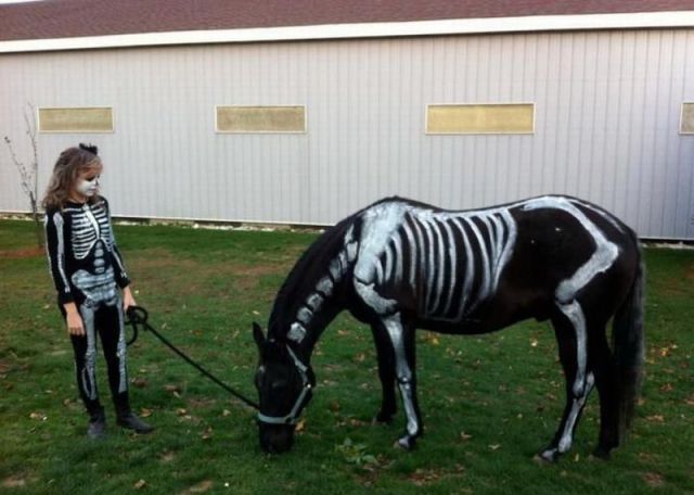 daily picdump 98 pics 39.html - 98 HD Photos | Premium Gallery 2012