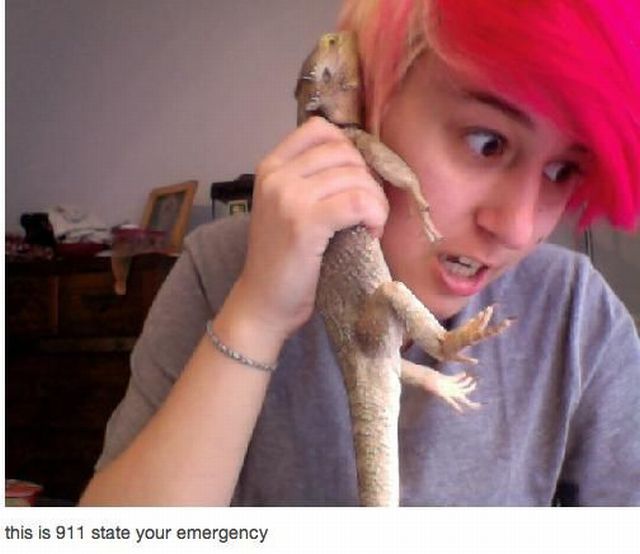 daily picdump 98 pics 39.html - 98 HD Photos | Premium Gallery 2012