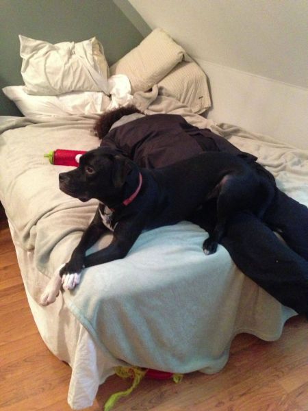 daily picdump 98 pics 39.html - 98 HD Photos | Premium Gallery 2012