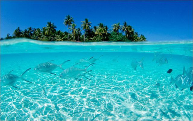 daily picdump 98 pics 39.html - 98 HD Photos | Premium Gallery 2012