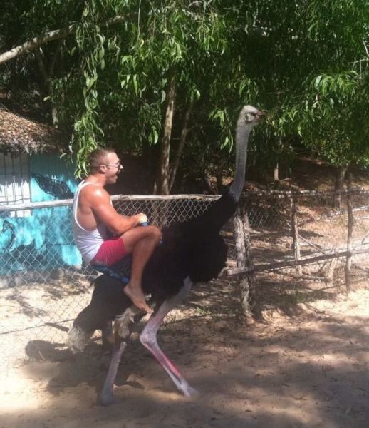 daily picdump 98 pics 39.html - 98 HD Photos | Premium Gallery 2012