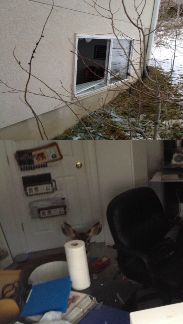 morning picdump 52 pics 9.html - 52 HD Photos | Premium Gallery 2012