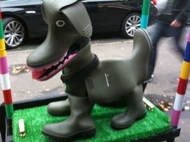 morning picdump 53 pics 21.html - 53 HD Photos | Premium Gallery 2012