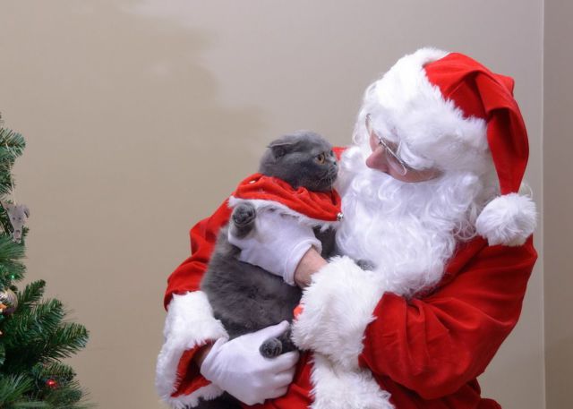 morning picdump 53 pics 21.html - 53 HD Photos | Premium Gallery 2012