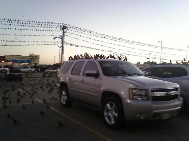 morning picdump 53 pics 26.html - 53 HD Photos | Premium Gallery 2012