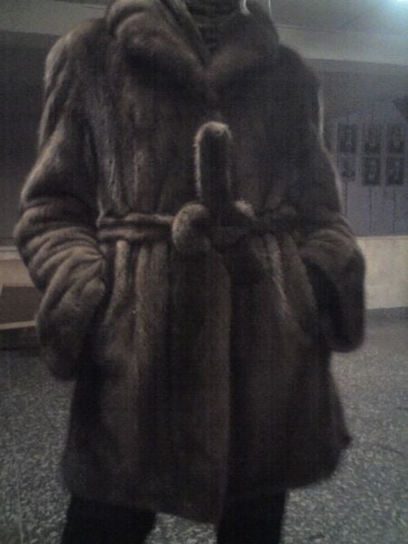 daily picdump 114 pics 2.html - 114 HD Photos | Premium Gallery 2012