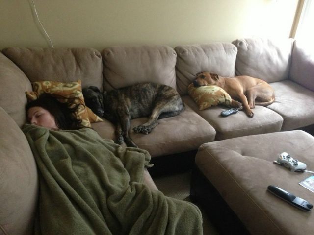 daily picdump 114 pics 2.html - 114 HD Photos | Premium Gallery 2012