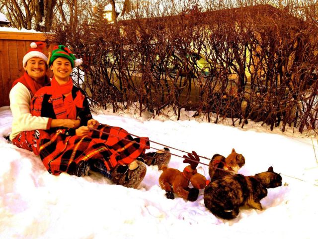 daily picdump 87 pics 16.html - 87 HD Photos | Premium Gallery 2012