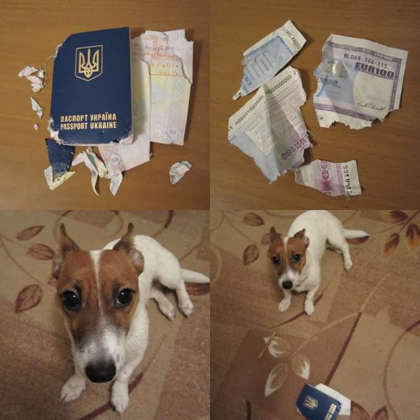 daily picdump 87 pics 16.html - 87 HD Photos | Premium Gallery 2012