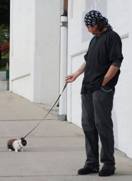 morning picdump 72 pics 4.html - 72 HD Photos | Premium Gallery 2013