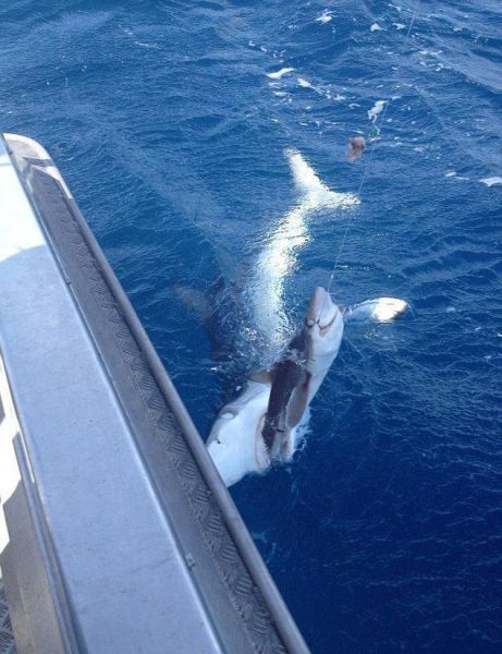 morning picdump 72 pics 4.html - 72 HD Photos | Premium Gallery 2013