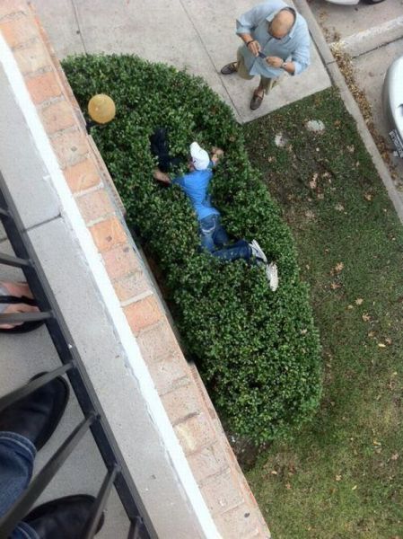 morning picdump 72 pics 4.html - 72 HD Photos | Premium Gallery 2013