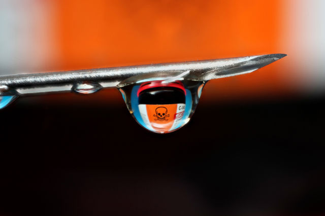 morning picdump 56 pics 2.html - 56 HD Photos | Premium Gallery 2013