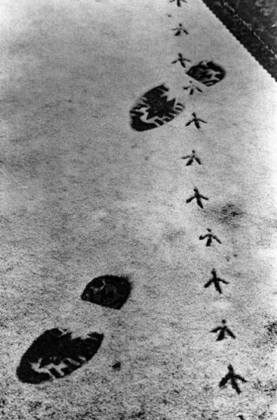 morning picdump 56 pics 2.html - 56 HD Photos | Premium Gallery 2013