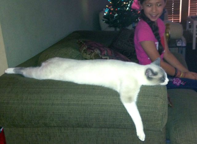 morning picdump 56 pics 2.html - 56 HD Photos | Premium Gallery 2013