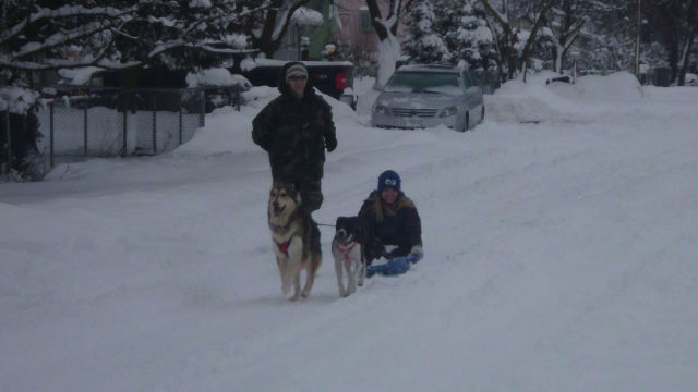 morning picdump 54 pics 2.html - 54 HD Photos | Premium Gallery 2013