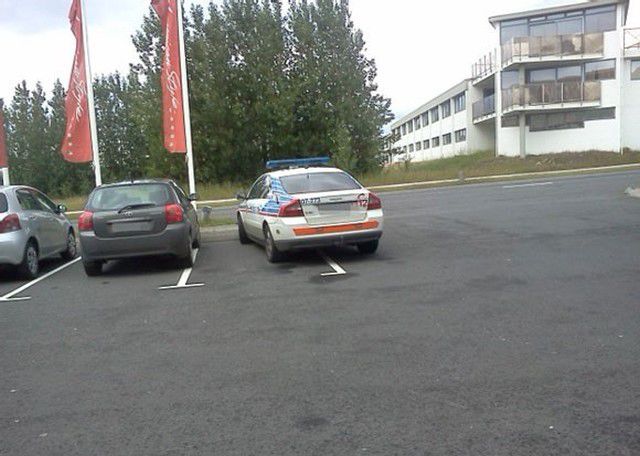 morning picdump 54 pics 2.html - 54 HD Photos | Premium Gallery 2013