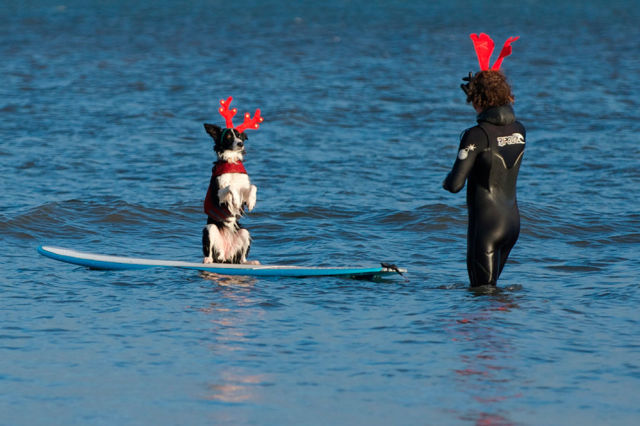 morning picdump 52 pics 22.html - 52 HD Photos | Premium Gallery 2013