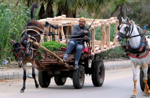 morning picdump 52 pics 22.html - 52 HD Photos | Premium Gallery 2013