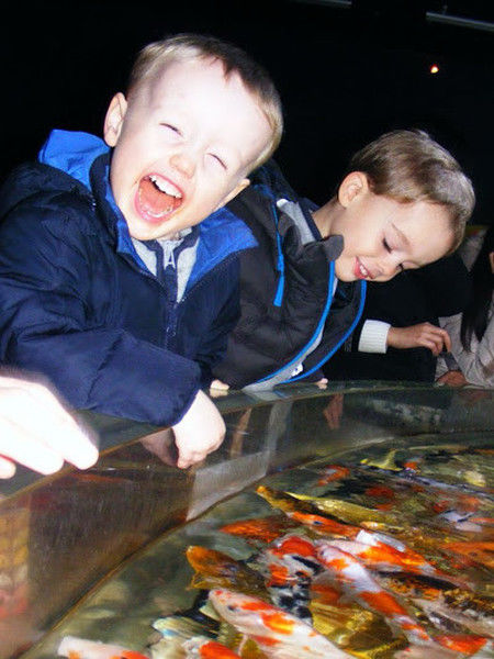 morning picdump 55 pics 27.html - 55 HD Photos | Premium Gallery 2013