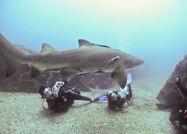 morning picdump 55 pics 27.html - 55 HD Photos | Premium Gallery 2013