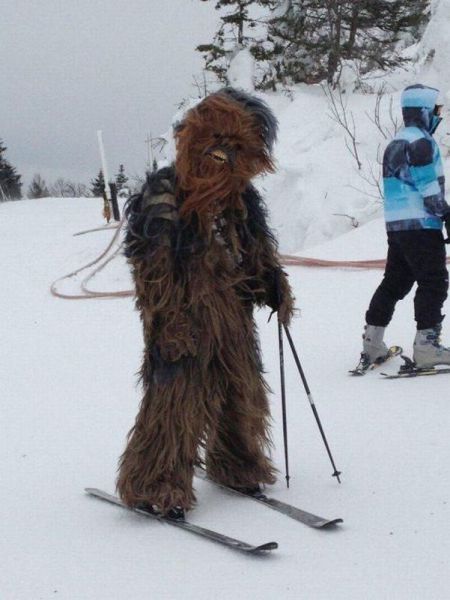 morning picdump 55 pics 3.html - 55 HD Photos | Premium Gallery 2013